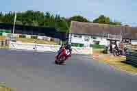 Vintage-motorcycle-club;eventdigitalimages;mallory-park;mallory-park-trackday-photographs;no-limits-trackdays;peter-wileman-photography;trackday-digital-images;trackday-photos;vmcc-festival-1000-bikes-photographs